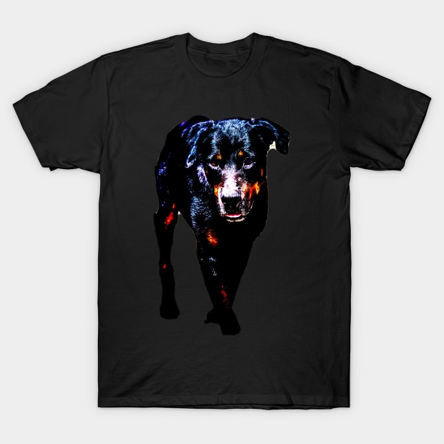 rottweiler T-Shirt by rickylabellevie